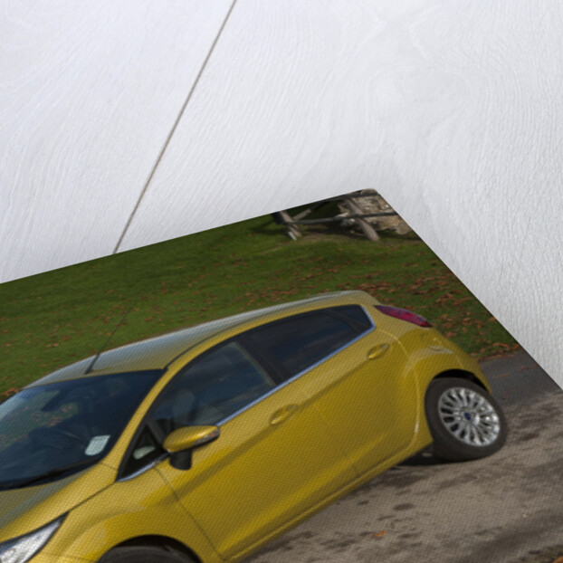 2013 Ford Fiesta Econetic by Unknown