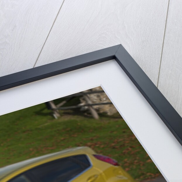 2013 Ford Fiesta Econetic by Unknown