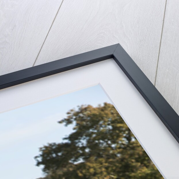 2013 Ford Fiesta Econetic by Unknown