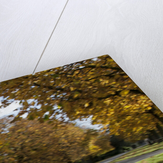 2013 Ford Fiesta Econetic by Unknown