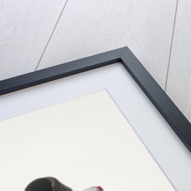 1961 BSA A10 Super Rocket by Unknown