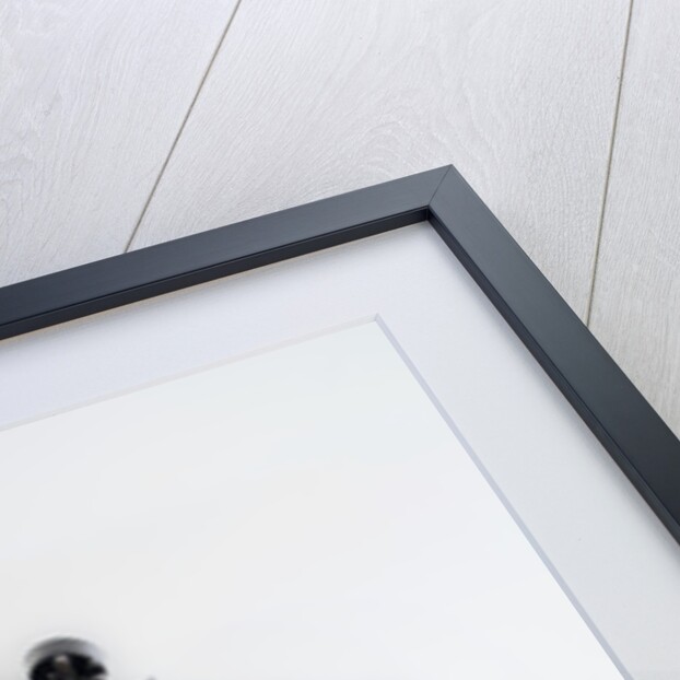 1961 BSA A10 Super Rocket by Unknown