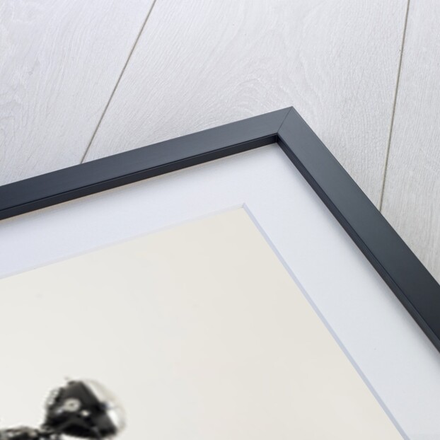 1959 Vincent Black Shadow by Unknown