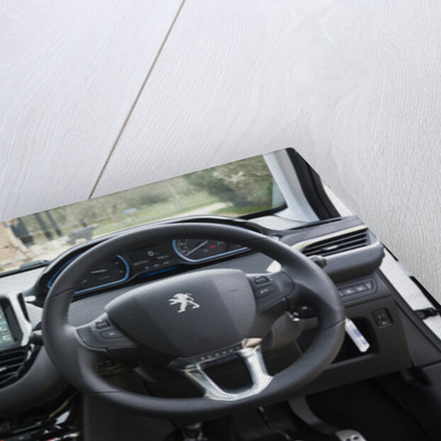 2014 Peugeot 208 Hdi by Unknown