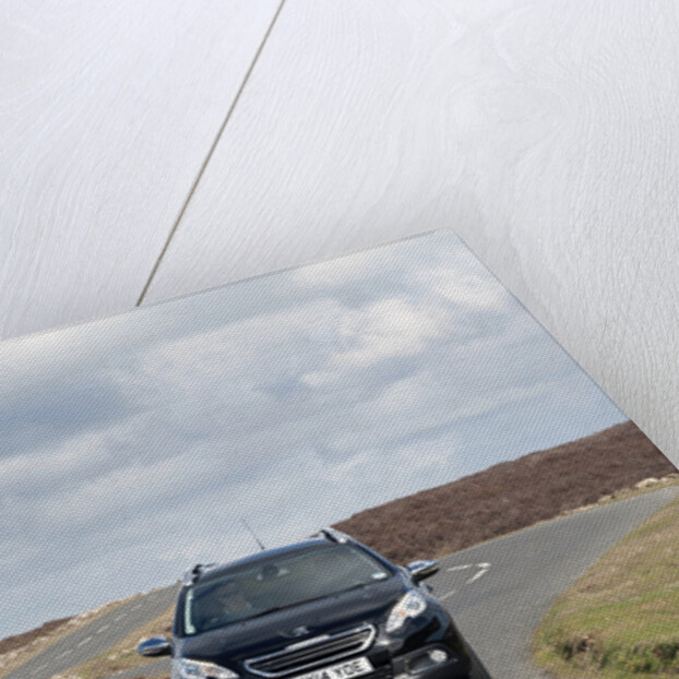 2014 Peugeot 2008 Hdi Feline by Unknown