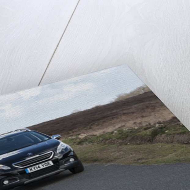 2014 Peugeot 2008 Hdi Feline by Unknown