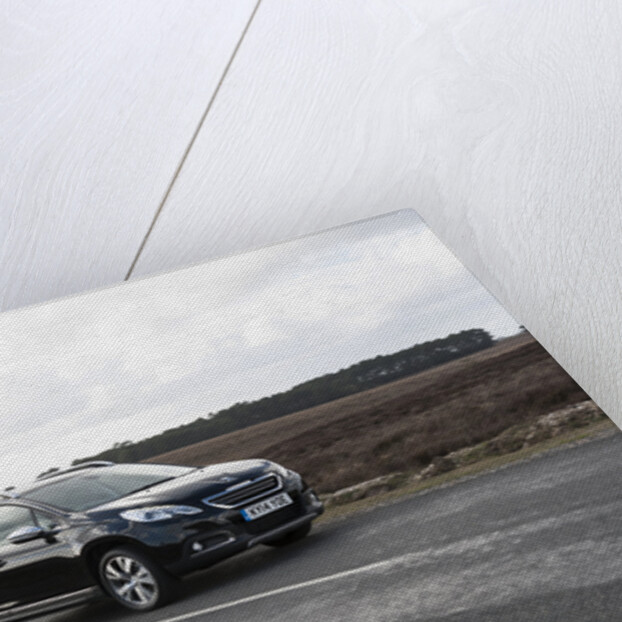 2014 Peugeot 2008 Hdi Feline by Unknown