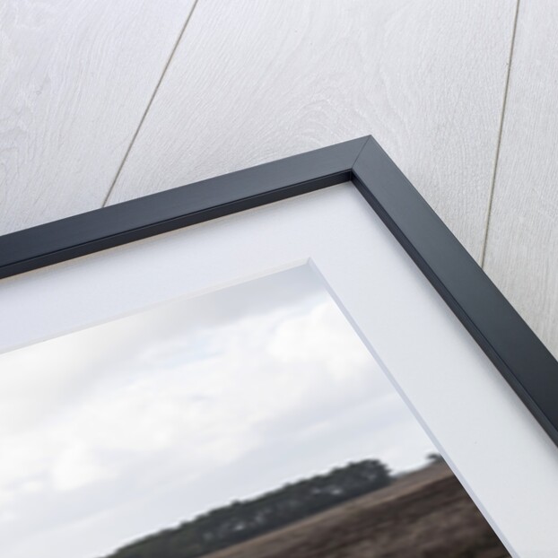 2014 Peugeot 2008 Hdi Feline by Unknown