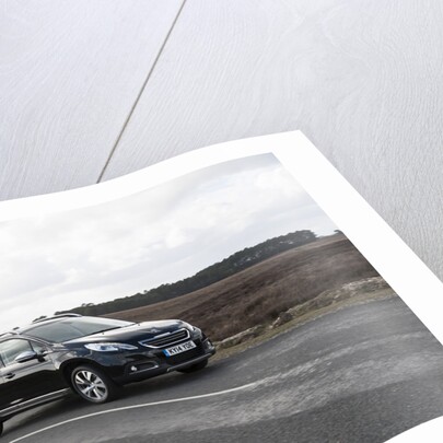 2014 Peugeot 2008 Hdi Feline by Unknown