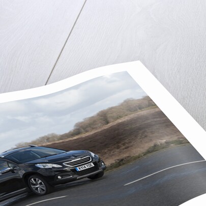 2014 Peugeot 2008 Hdi Feline by Unknown