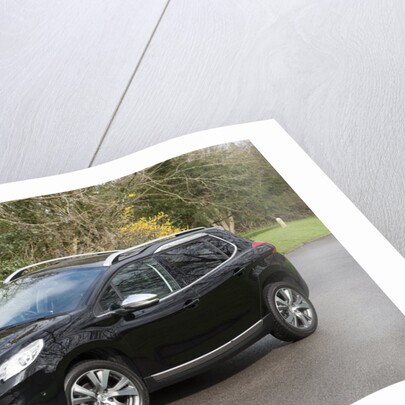 2014 Peugeot 2008 Hdi Feline by Unknown