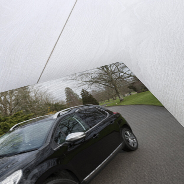 2014 Peugeot 2008 Hdi Feline by Unknown