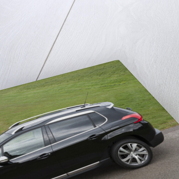 2014 Peugeot 2008 Hdi Feline by Unknown