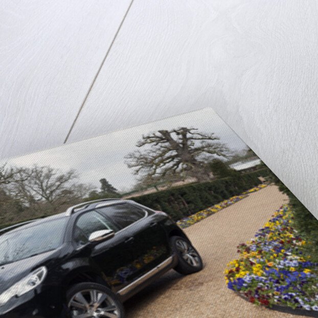 2014 Peugeot 2008 Hdi Feline by Unknown