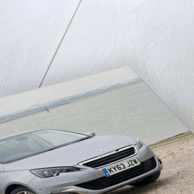 2014 Peugeot 308 THP 156 Feline by Unknown