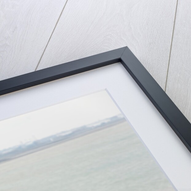 2014 Peugeot 308 THP 156 Feline by Unknown