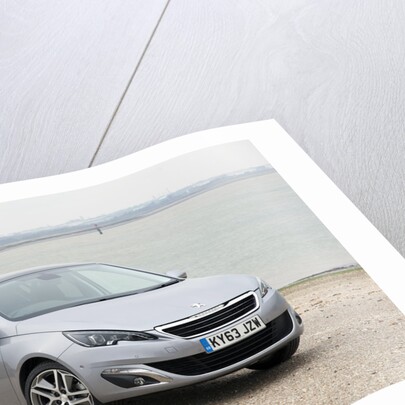 2014 Peugeot 308 THP 156 Feline by Unknown