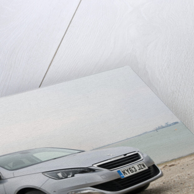 2014 Peugeot 308 THP 156 Feline by Unknown