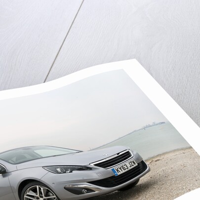 2014 Peugeot 308 THP 156 Feline by Unknown