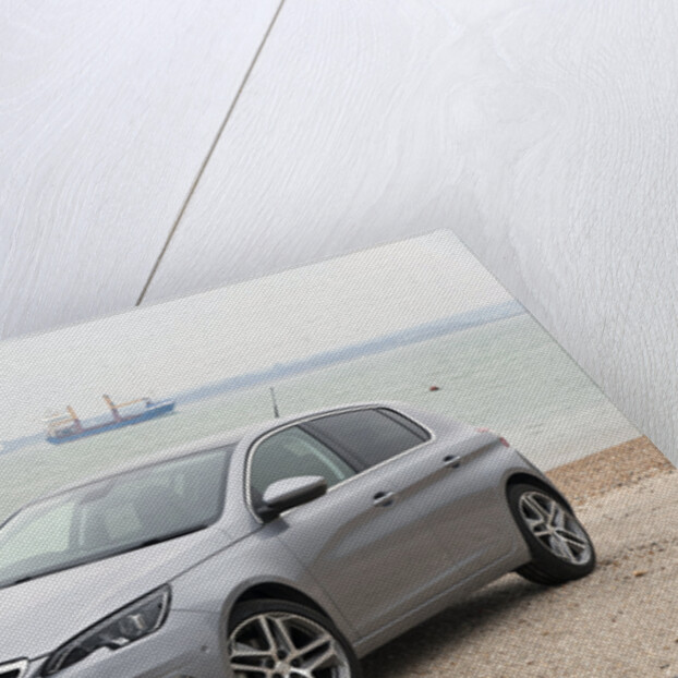 2014 Peugeot 308 THP 156 Feline by Unknown