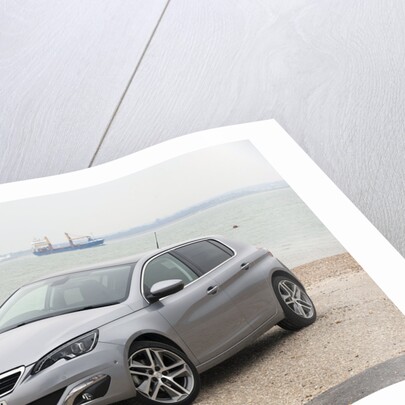 2014 Peugeot 308 THP 156 Feline by Unknown