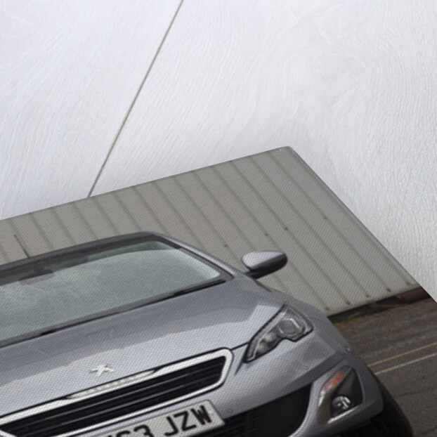 2014 Peugeot 308 THP 156 Feline by Unknown