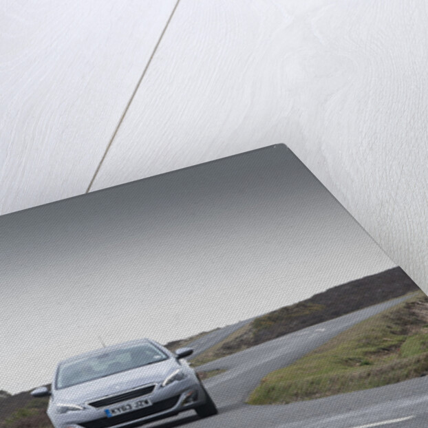 2014 Peugeot 308 THP 156 Feline by Unknown