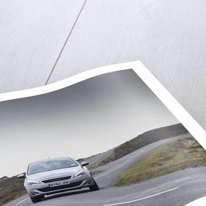 2014 Peugeot 308 THP 156 Feline by Unknown