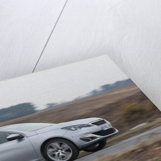 2014 Peugeot 308 THP 156 Feline by Unknown