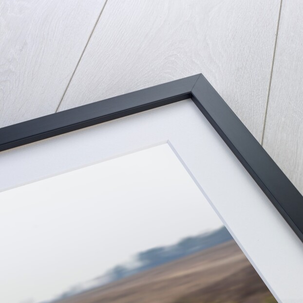 2014 Peugeot 308 THP 156 Feline by Unknown