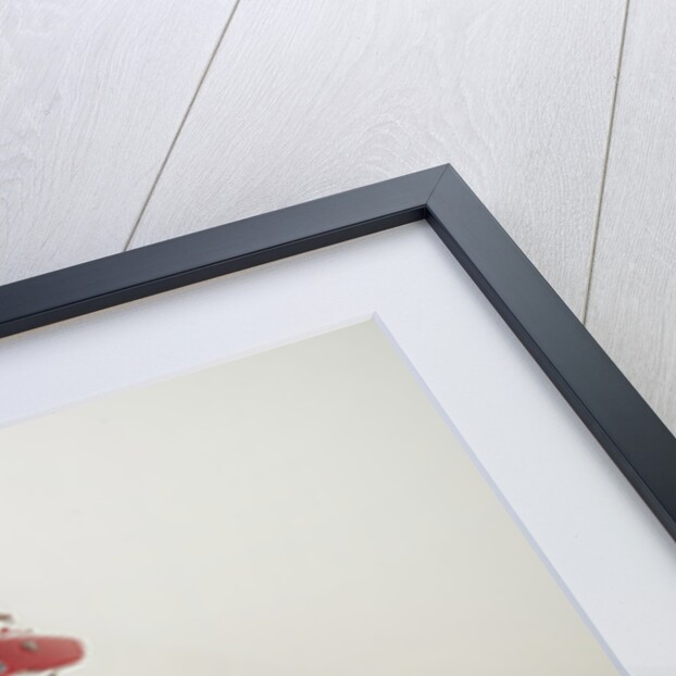 2006 Ducati 999 Xerox, Troy Bayliss Superbike.Moto GP championship winner by Unknown