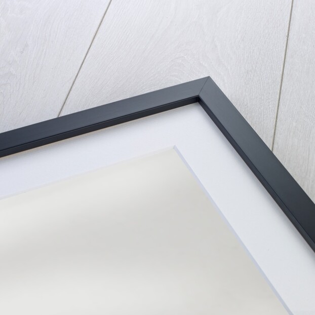 2013 BMW 118d by Unknown