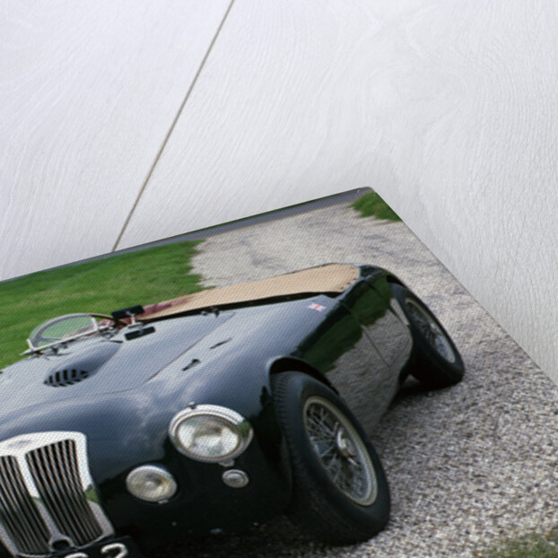 1952 Frazer Nash Targa Florio by Unknown