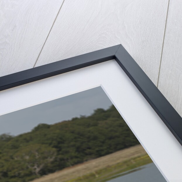 2014 Mazda MX5 Roadster Coupe by Unknown