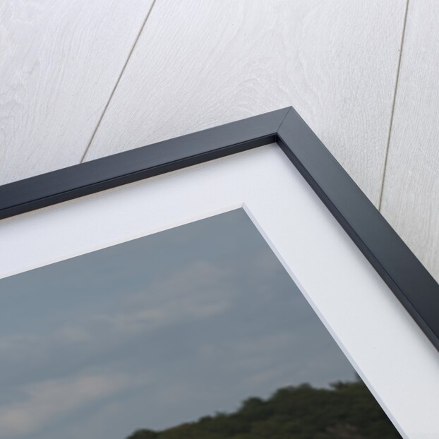 2014 Mazda MX5 Roadster Coupe by Unknown