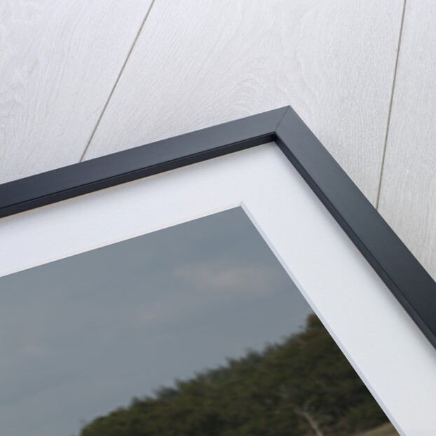 2014 Mazda MX5 Roadster Coupe by Unknown