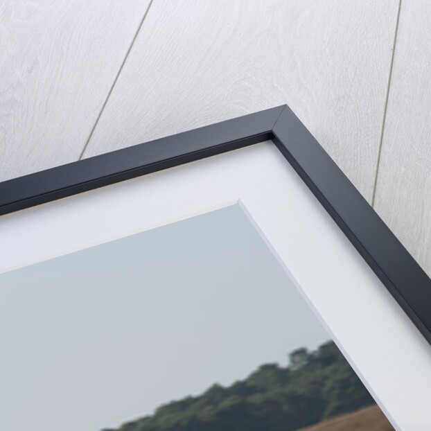 2014 Mazda MX5 Roadster Coupe by Unknown