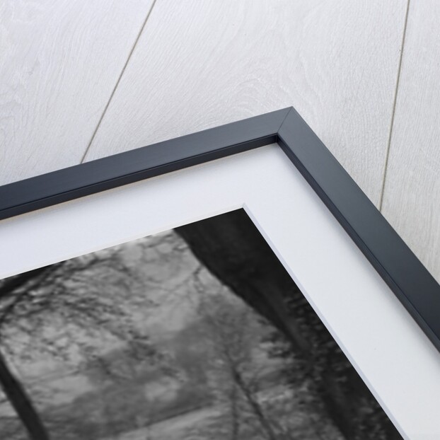 Standard Twelve of K Picken at the Standard Car Owners Club Southern Counties Trial, 1938 by Bill Brunell