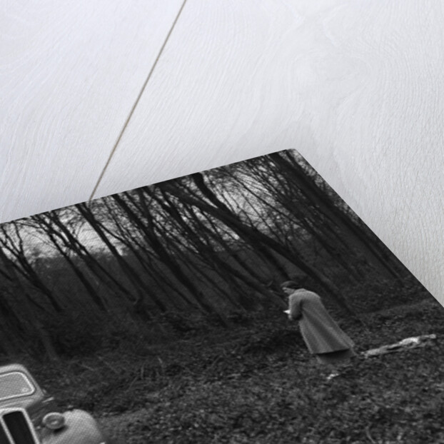 Standard Nine at the Standard Car Owners Club Southern Counties Trial, Hale Wood, Chilterns, 1938 by Bill Brunell