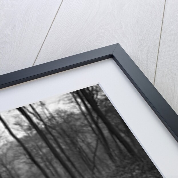 Standard Flying Twelve at the Standard Car Owners Club Southern Counties Trial, 1938 by Bill Brunell