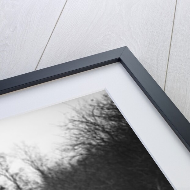 1935 1496 cc Singer competing in the Great West Motor Club Thatcher Trophy, 1938 by Bill Brunell