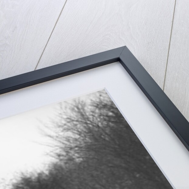 1935 972 cc Singer competing in the Great West Motor Club Thatcher Trophy, 1938 by Bill Brunell