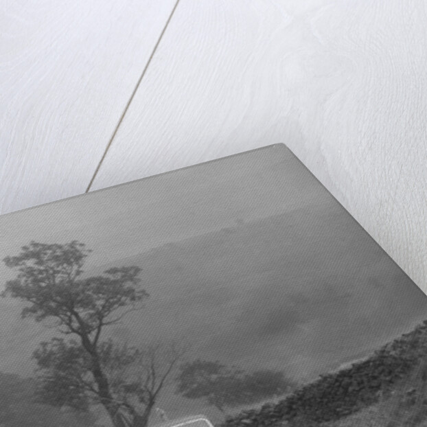 Ford V8 saloon of AKB Clarkson competing in the MCC Sporting Trial, 1935 by Bill Brunell