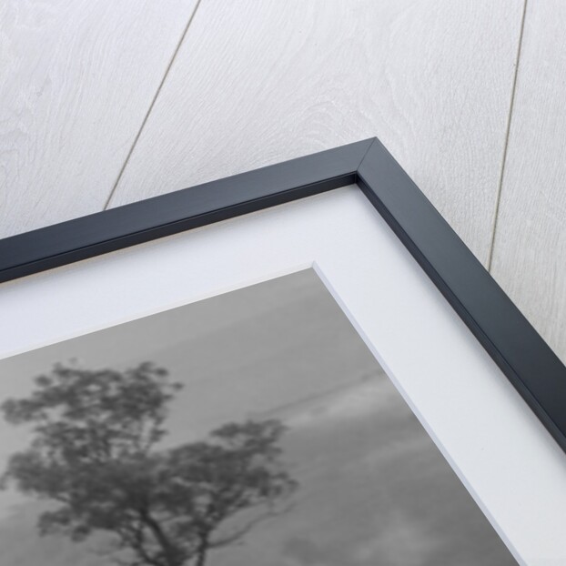 Ford V8 saloon of RE Alexander competing in the MCC Sporting Trial, 1935 by Bill Brunell