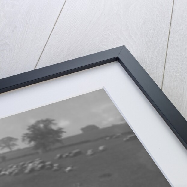 MG Magnette NA competing in the MG Car Club Rushmere Hillclimb, Shropshire, 1935 by Bill Brunell