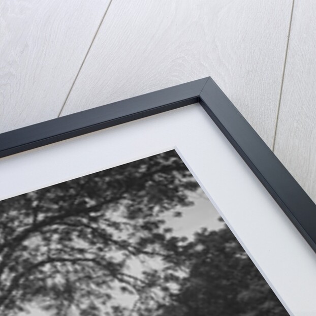 Austin 12/4 open 4-seater tourer competing in the JCC Inter-Centre Rally, 1932 by Bill Brunell