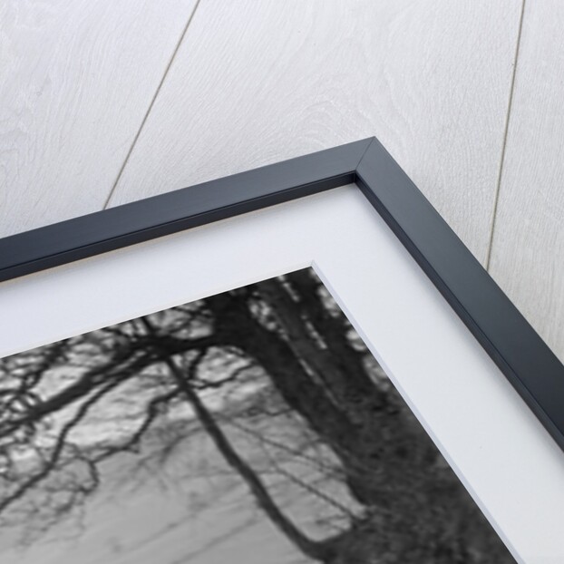 Austin 7 Grasshopper of WH Scriven competing in the MG Car Club Midland Centre Trial, 1938 by Bill Brunell