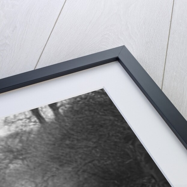 Alvis 12/60 of A Powys-Lybbe competing in the Sunbac Colmore Trial, Gloucestershire, 1933 by Bill Brunell