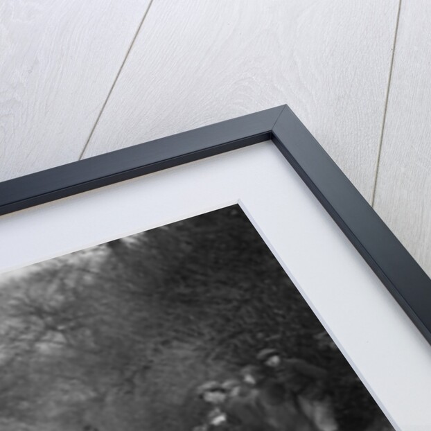 Frazer-Nash Boulogne II of RS Langford competing in the Sunbac Colmore Trial, Gloucestershire, 1933 by Bill Brunell