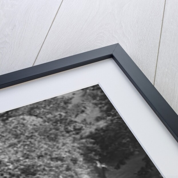 Motorcycle and sidecar of HD Jongs, Brighton and Hove Motor Club Brighton-Beer Trial, 1930 by Bill Brunell